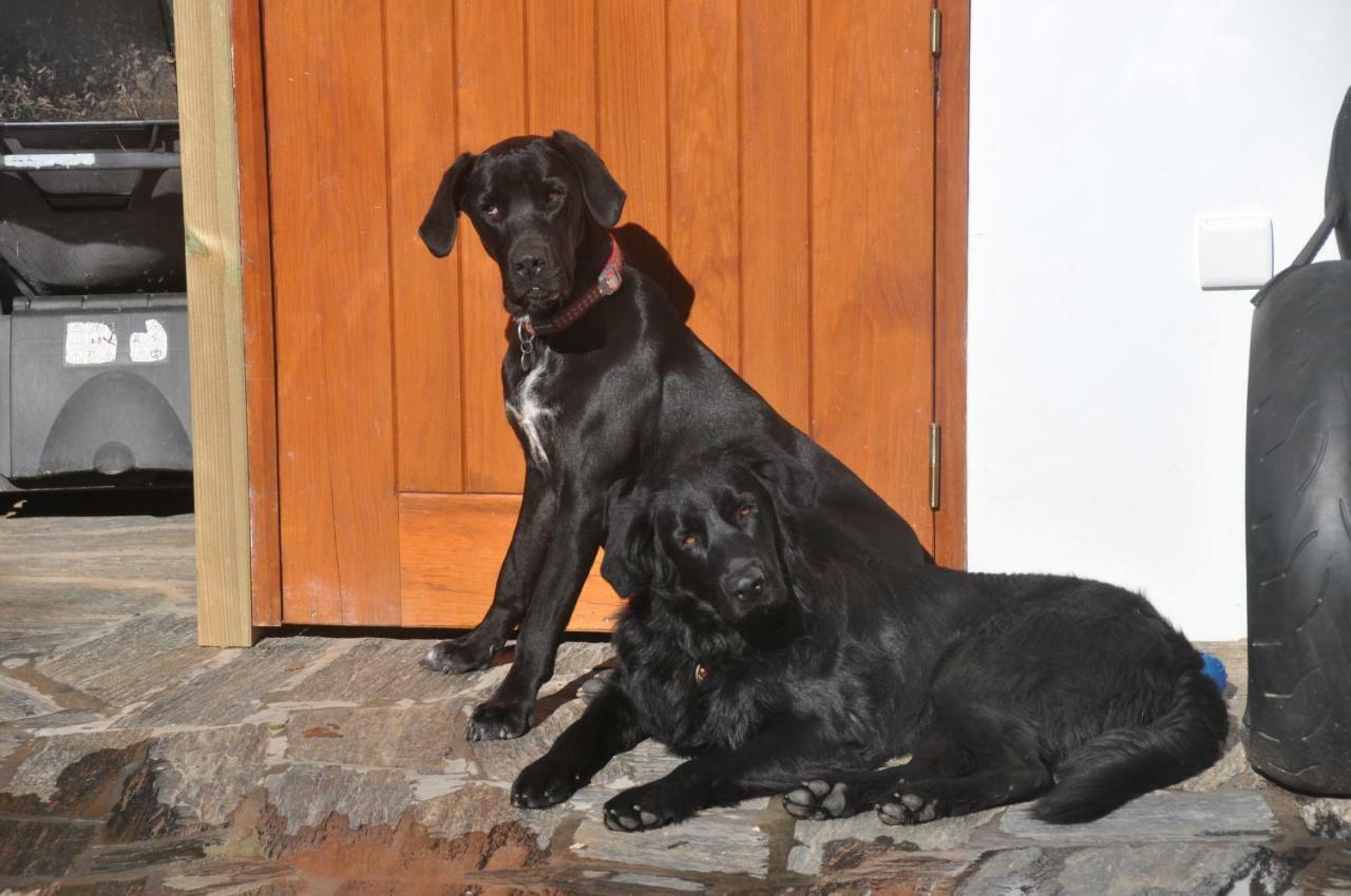 Quinta Do Bom Vento Guest House Obidos Ngoại thất bức ảnh
